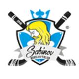 Logo HK Sabinov